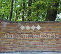 Nationalstudmini