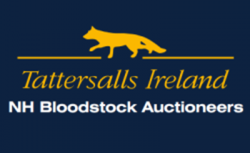 Tattersall Ireland Tattersalls Horse Sales 250x250