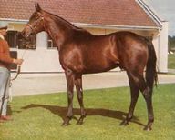 Mill Reef