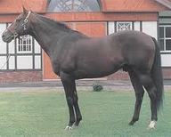 Dancing Brave