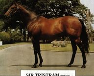 Sir Tristram