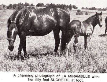 La Mirambule